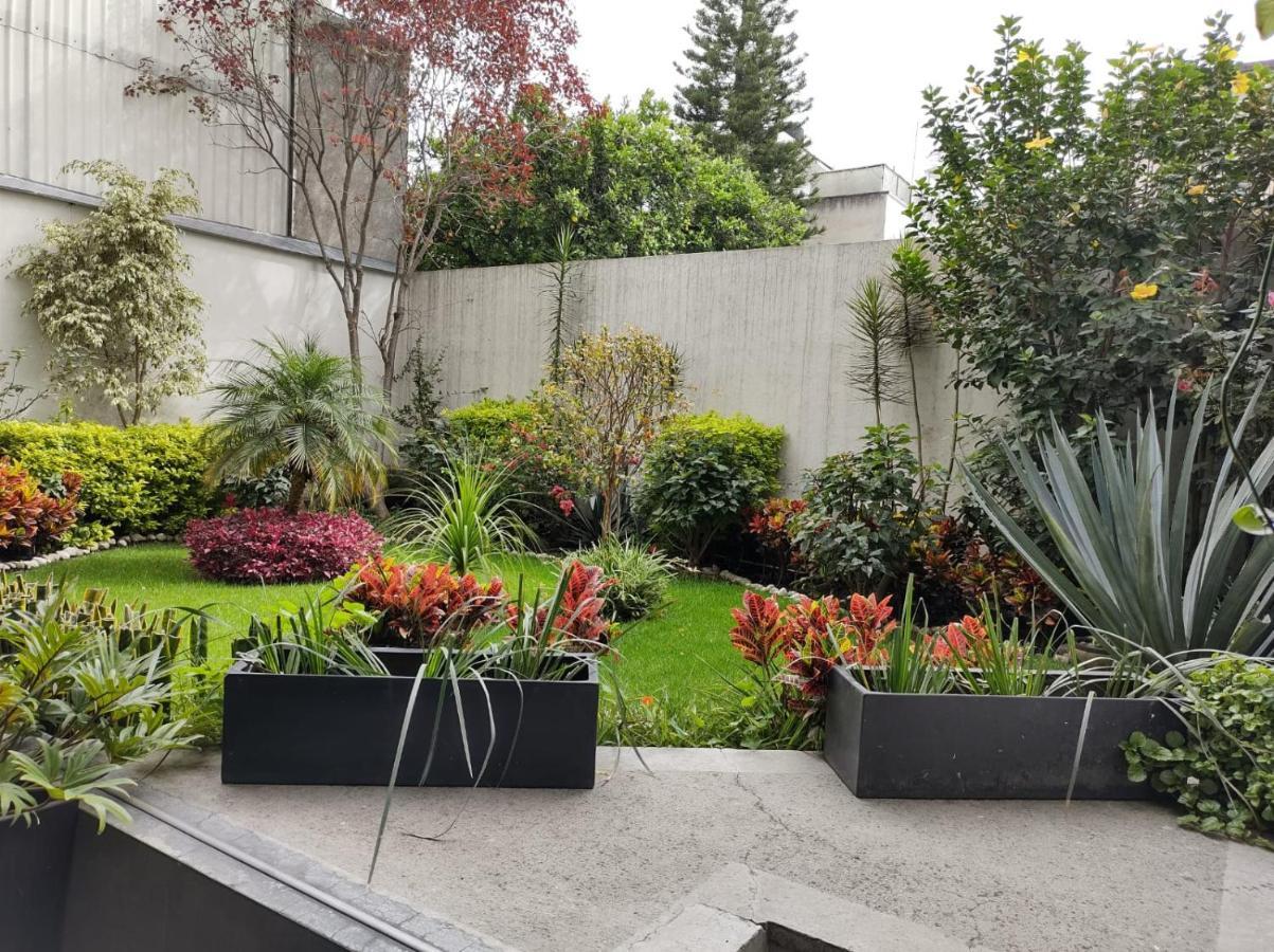 Departamento Entero En El Corazon De La Ciudad Leilighet Mexico by Eksteriør bilde